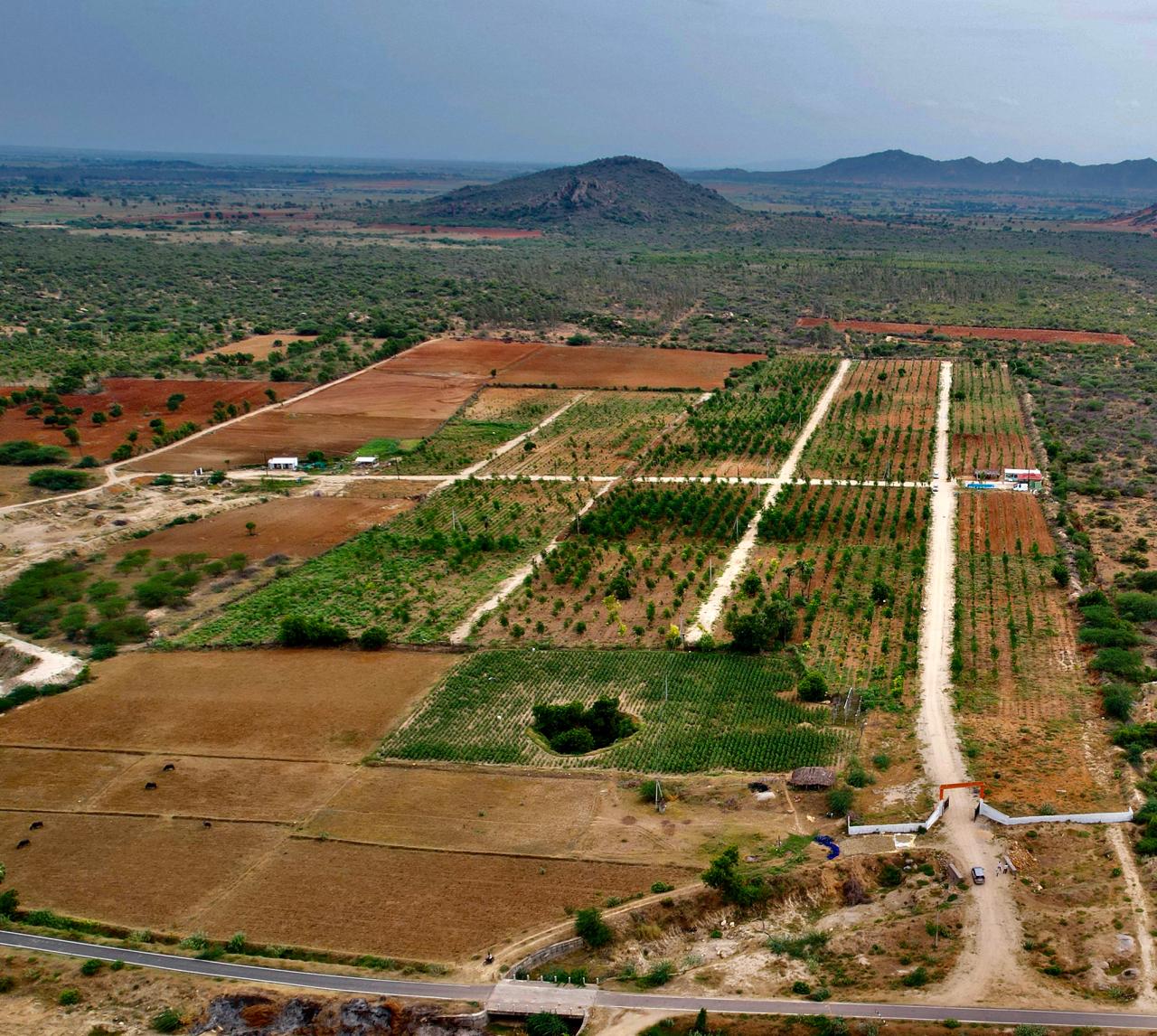 Mandira Developers Project